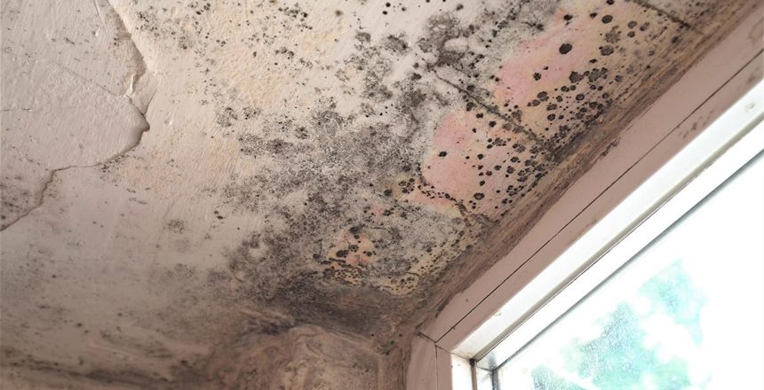 can mold grow on concrete? Yes, mold can grow on any surface with moisture. Mold growth on the concrete ceiling near a window opening.